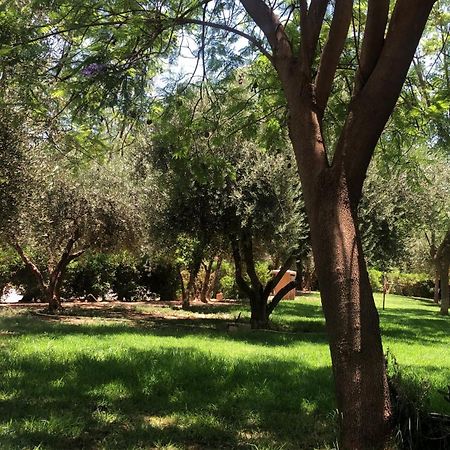 Palmeraie Village 2 - Cosi Appartement En Rez De Jardin Marrákes Kültér fotó